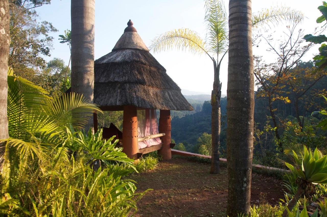 Timamoon Lodge هازيفيو المظهر الخارجي الصورة
